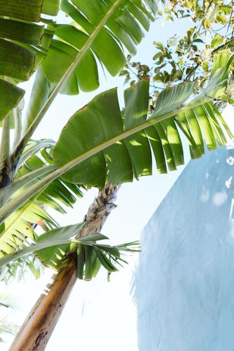 Tortuga Blue House In Banana Plantation Villa Arucas Buitenkant foto